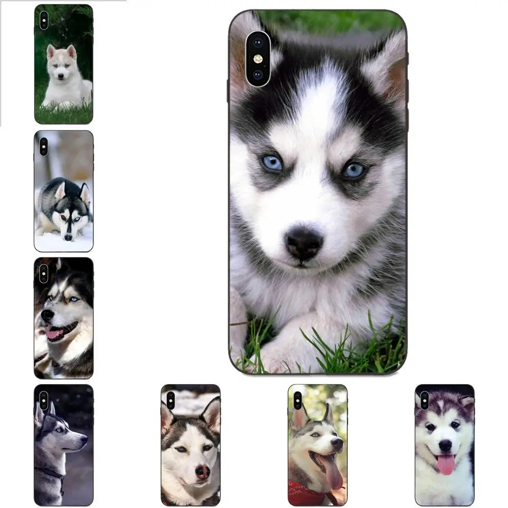 Alaskan Malamute Siberian Husky Dog для Galaxy A10S A20S A2 Core A30S A40S A50S A70S A90 5G M10 M30S M40 Note 10 Plus | Мобильные