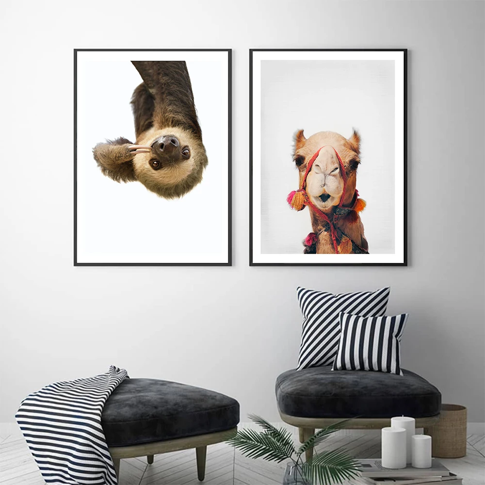Home-Decor-Canvas-Painting-Animal-Wall-Art-Camel-Sloth-Posters-and-Prints-Wall-Pictures-for-Living (3)