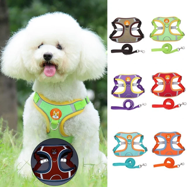 2023 New Pet Collar Set Dog Collar Leash Haulage Rope Package Cat  Accessories Pet Supplies