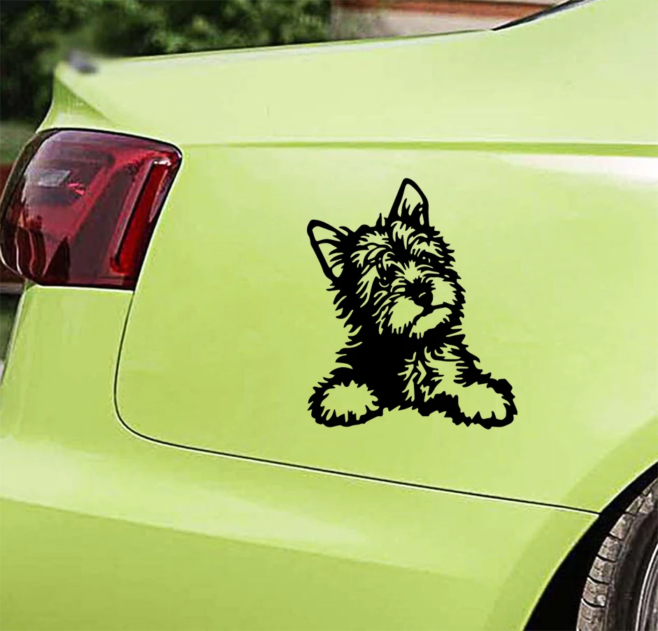 Funny Dog car stickers Decal Art Quotes Window Decor Rear Windshield Modern Fashion decoration accessories | Автомобили и