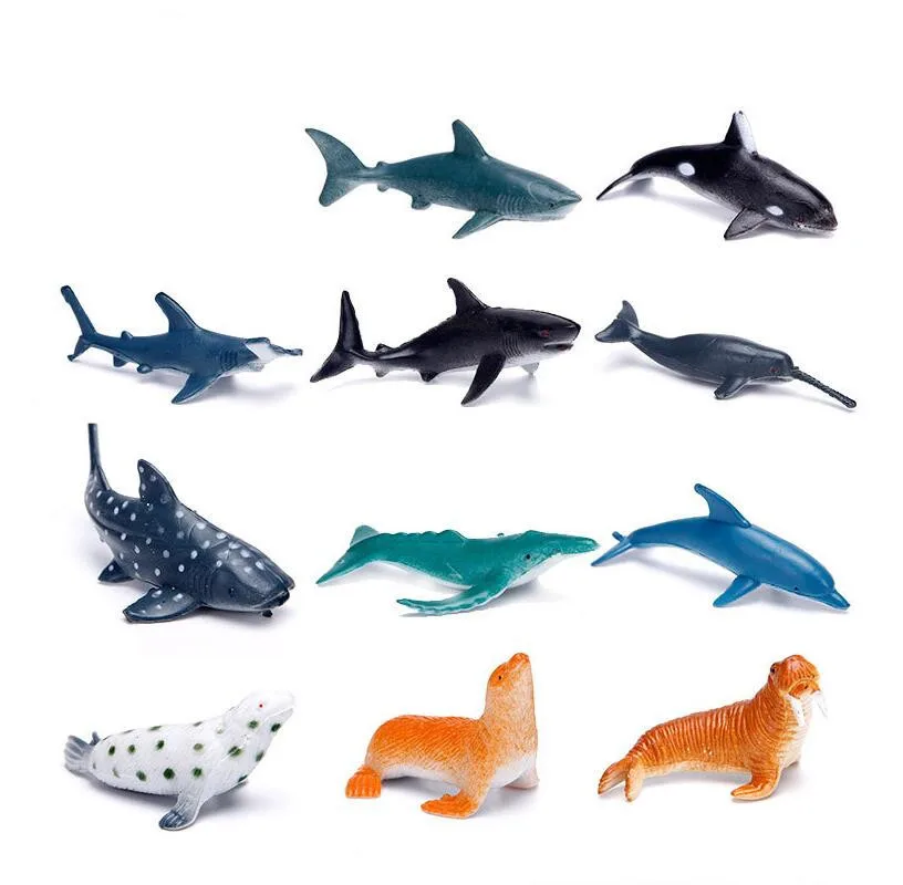 Seabed Model Marine Organism Animal Model Toy Small World Marine Organism Biological Set Dolphin Zhejiang