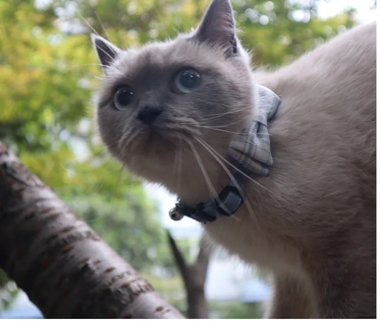 1 - 18759825207_307791824