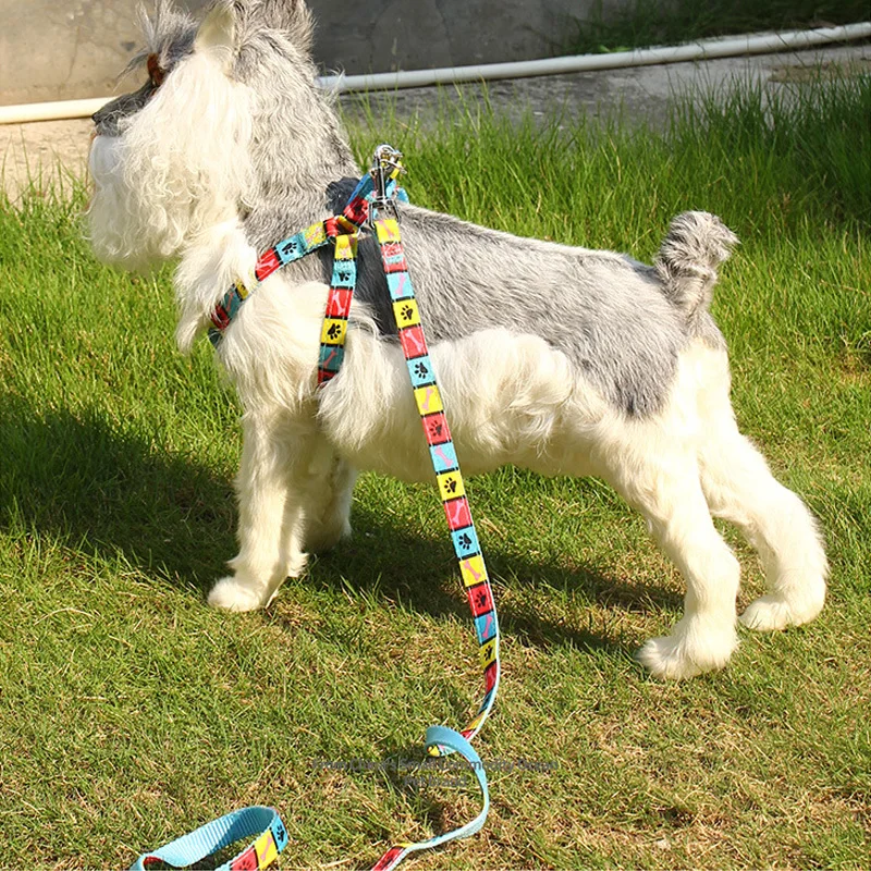 Dog Cat Collar Harness Leash Adjustable Nylon Pet Traction Kitten Halter Puppy Product Small Belt | Дом и сад
