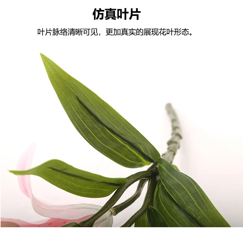 16-11430190971_831230203