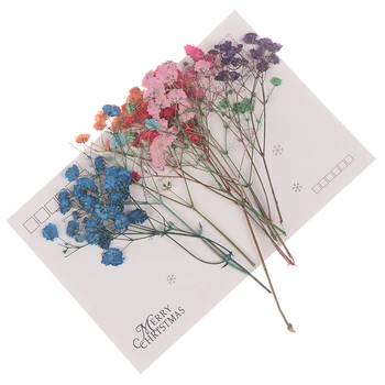 

10pcs/Set Artificial Flower Mini Cute Dried Flower Wedding Decoration DIY Wreath Gift Scrapbooking Craft Fake Flower Gypsophila
