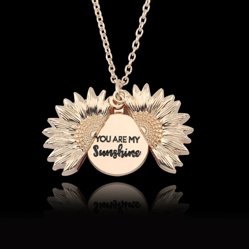 MyLittleSunflower Women's You are My Sunshine Necklace - Sunflower Necklaces  Locket with Engraved Hidden Message Alloy Pendant for Mother, Daughter -  Price History