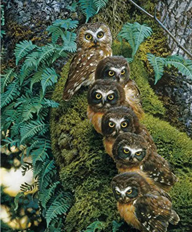 5D DIY Full Square Diamond Paintings Animals Owls Cross Stitch Kits The Family Tree Embroidery Paint with Diamonds Art Stickers | Дом и сад