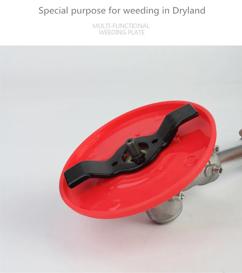 11825120011_297358734_副本