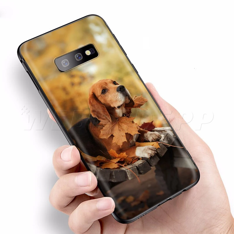 Webbedepp собака породы Бигль чехол для samsung Galaxy S7 S8 S9 S10 Edge Plus Note 10 8 9 A10 A20 A30 A40 A50 A60 A70