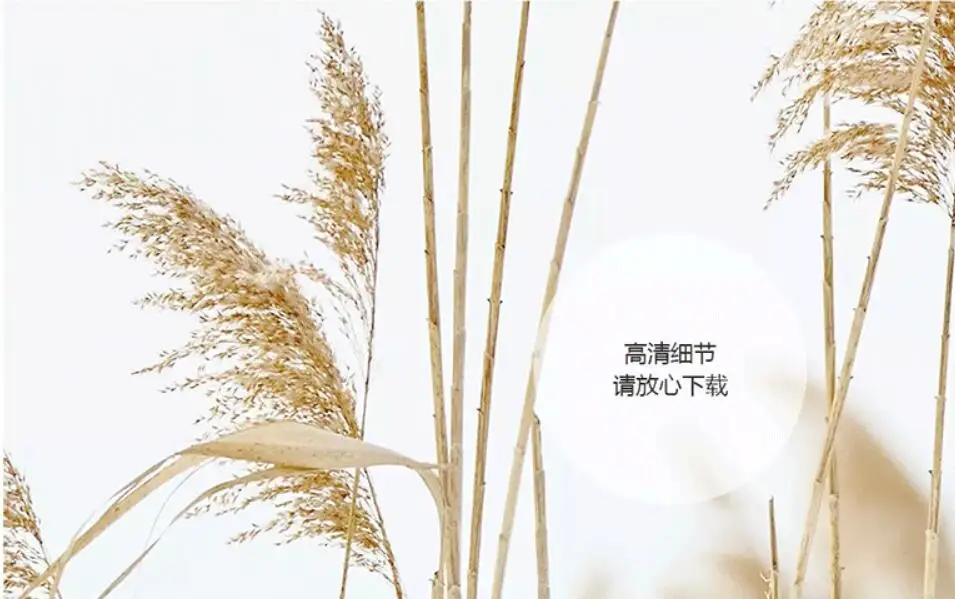 QQ截图20201208234651