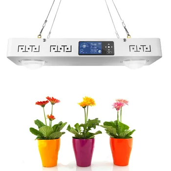 Buy Dimmable CREE CXB3590 200W 3500K COB LED Vegetative Light Full Spectrum With LCD Display Timer Temperature Control Indoor Plants