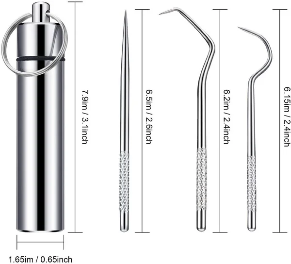 7pcs Stainless Steel Toothpick Set Metal Flossing Tools With Portable  Toothpick Holder Outdoor Household Travel Seal Storage - AliExpress Home   Garden