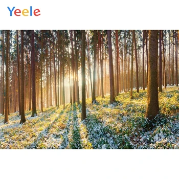 

Yeele Landscape Portrait Forest Sunshine Lawn Decor Photography Backdrops Personalized Photographic Backgrounds For Photo Studio