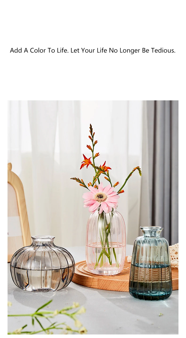 H9337d0f931fc46fb81cf2f8d84b5a1c4E.jpg?width=790&height=1438&hash=2228