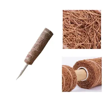 

12 Inches Plant Climbing Pole Coir Moss Stick For Plant Support Extension Climbing Indoor Plants Creepers Plant Climbing Pole