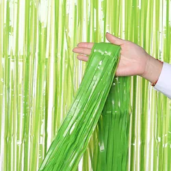 Matte Foil Tassel Fringe Curtain for Celebrations and Events (Macaroon green)