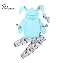 Детская одежда для мальчиков и девочек комплекты зимней одежды для детей однотонные топы с длинными рукавами и длинными ушками с героями мультфильмов, худи+ леггинсы, штаны, костюмы, От 0 до 3 лет