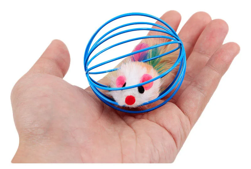 kitten toys-