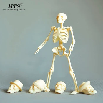 

20cm mini mannequin puzzle pirate toy mannequin medical teaching aid
