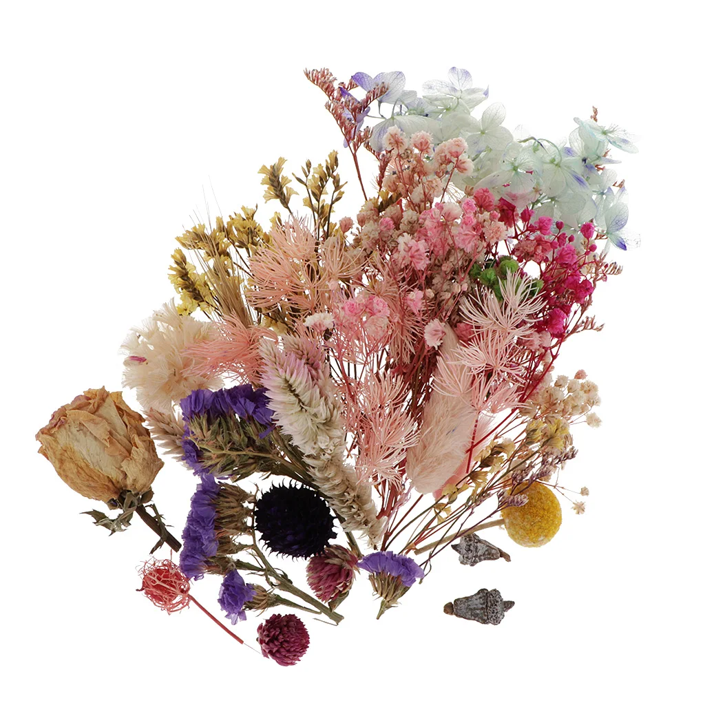 1Box Pressed Leaves Natural Dried Flowers Scrapbooking Card Making