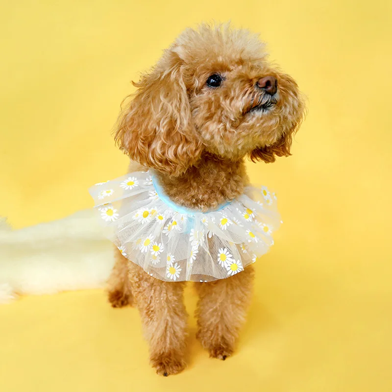 雏菊纱围嘴_0230