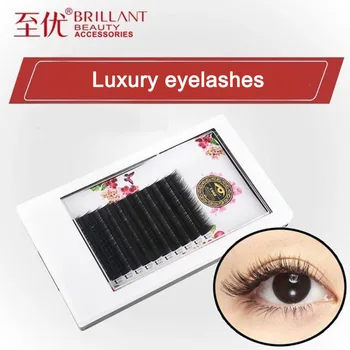 

BRILLANT 10 Cases Matter 12Rows Classic Eyelash Extension DD Faux Individual Eyelash Lashes Maquiagem for Professionals Soft