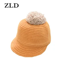 ZLD осень-зима новая бейсболка женский шерстяной плюшевый шар шляпа защита ушей Повседневная дикая бейсбольная оберточная Стеклопластиковая девушка