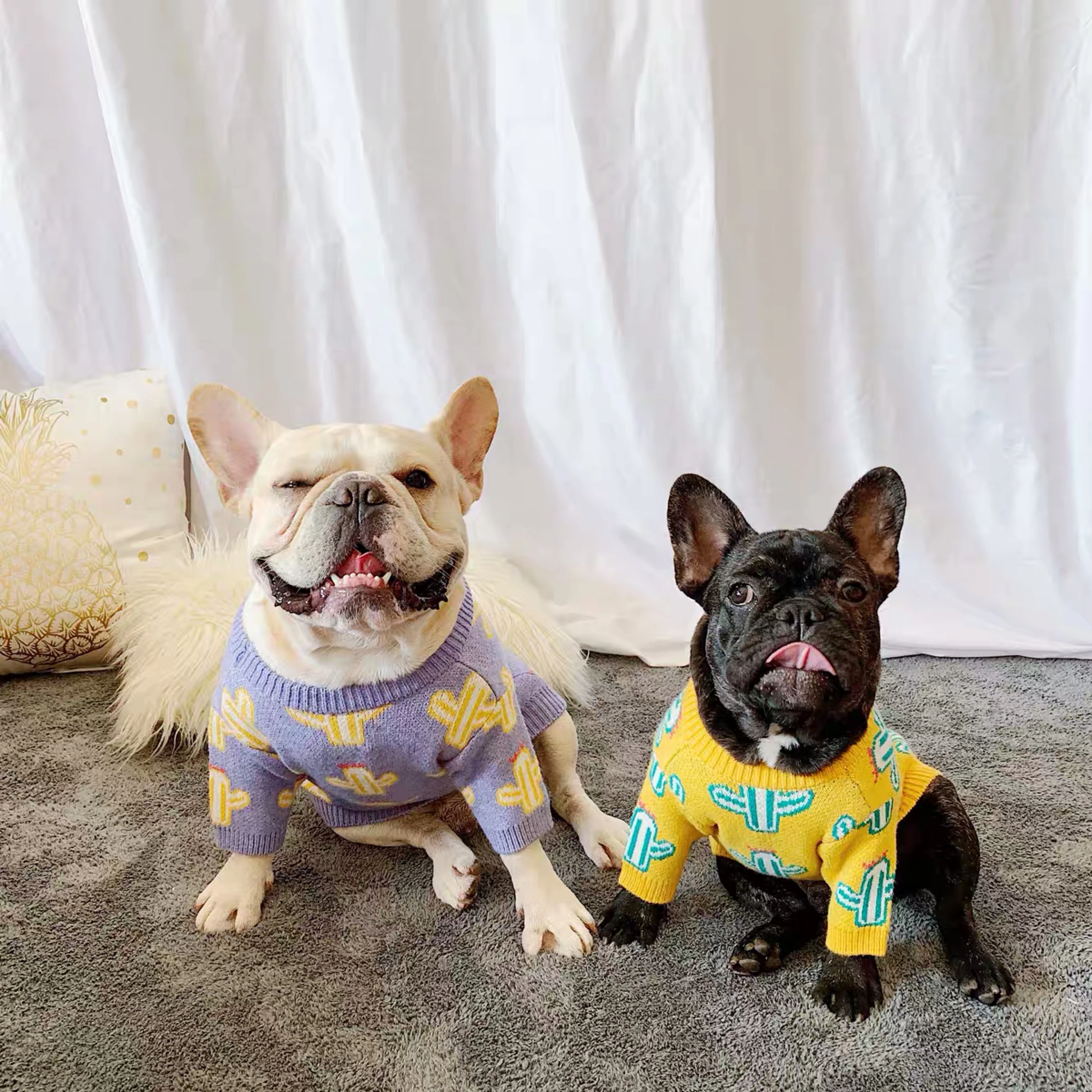 cute clothes for french bulldogs