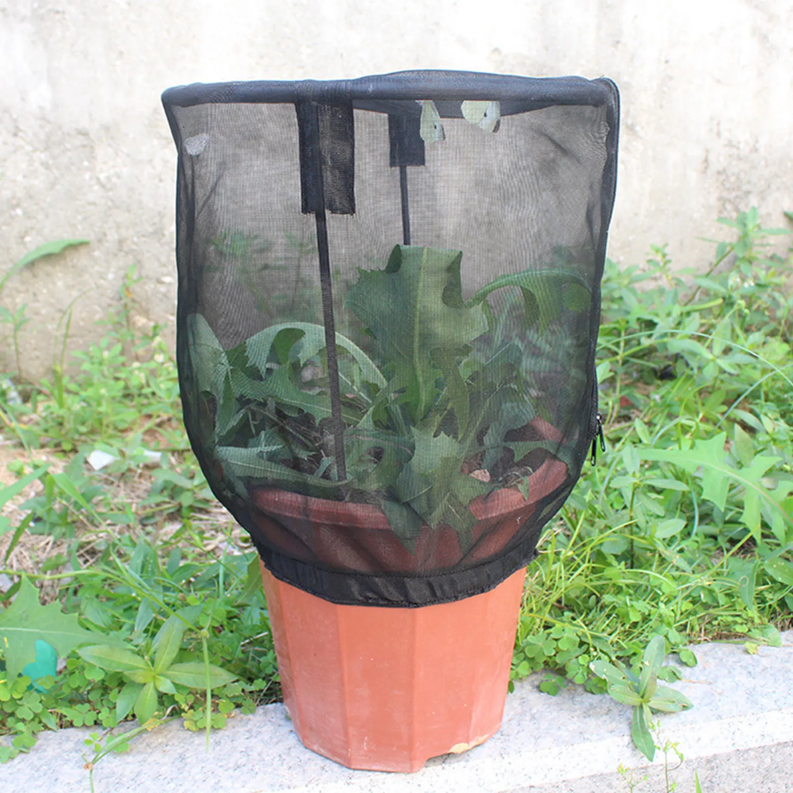 Insect Net Cage Flower Pot Ornamental Plant Shade | Дом и сад