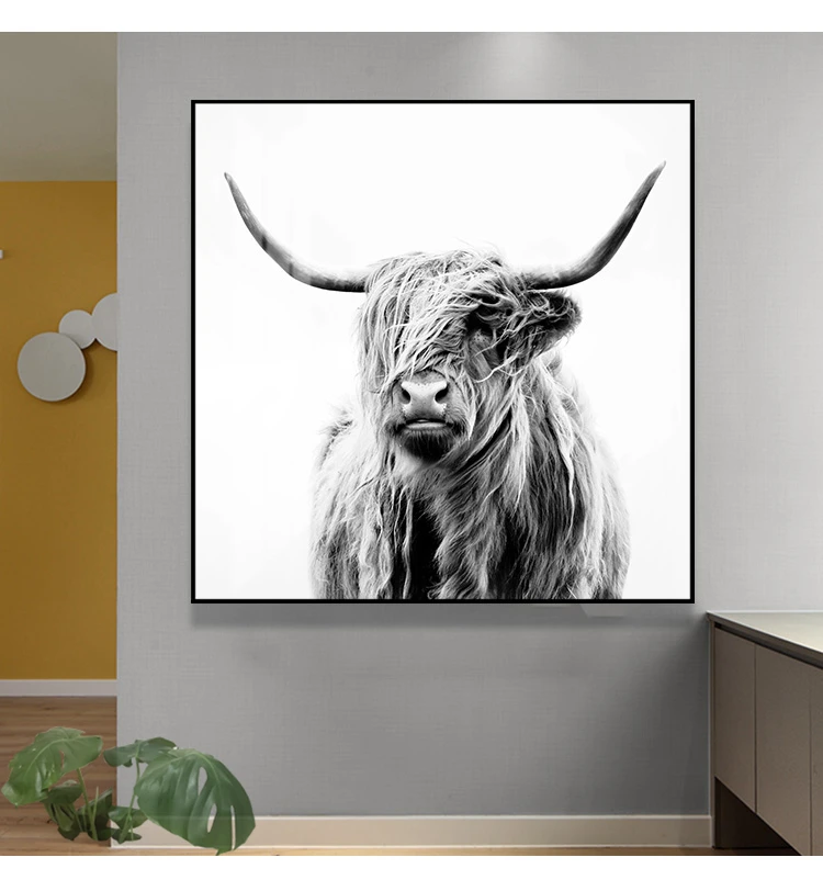 Черно белые плакаты с изображением яка Highland Cow Wild картина рисунком животных