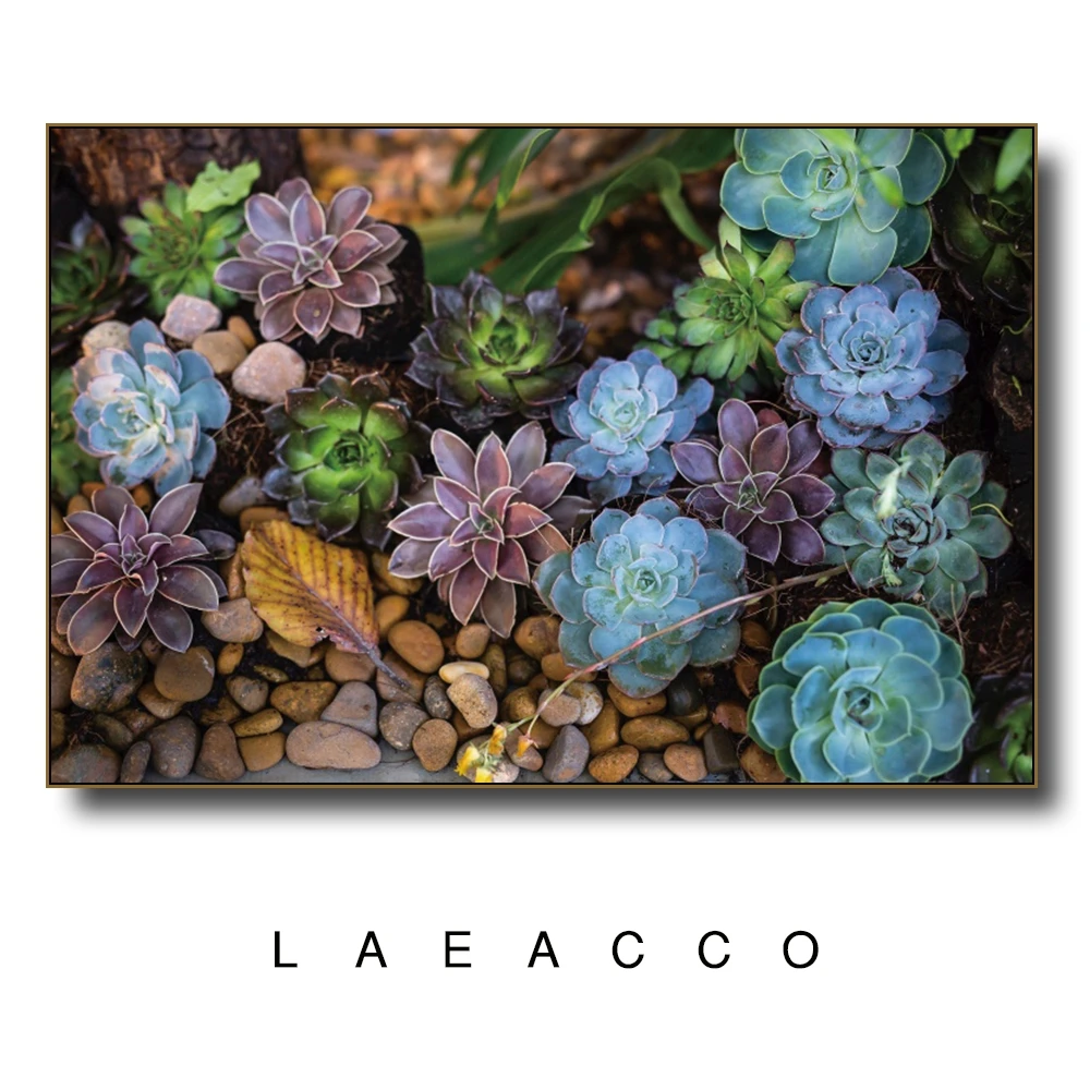 BABLT000870-6