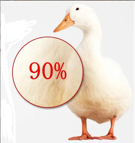 90 white duck down Осенне-зимняя мужская куртка, новинка, тонкие пальто, 80% утиный пух, ультра-светильник, тонкий, стоячий воротник, с хлопковой подкладкой, однотонные парки, хорошее пальто - Цвет: 90 white duck down