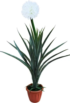 

Artificial Aloe