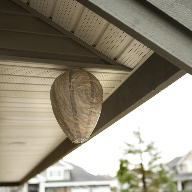 1-2 Db Méhkas Lámpás Biztonságos Szimulált Méhsejt Lógó Darázs-Riasztó Hamis Darázs Fészek Csalása Szabadtéri Otthoni Kerti Kiegészítők Számára - Image 4