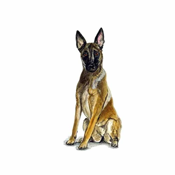 

Dawasaru Belgian Shepherd Car Sticker Malinois Dog Waterproof Decal Laptop Truck Motorcycle Auto Accessories PVC,13cm*6cm