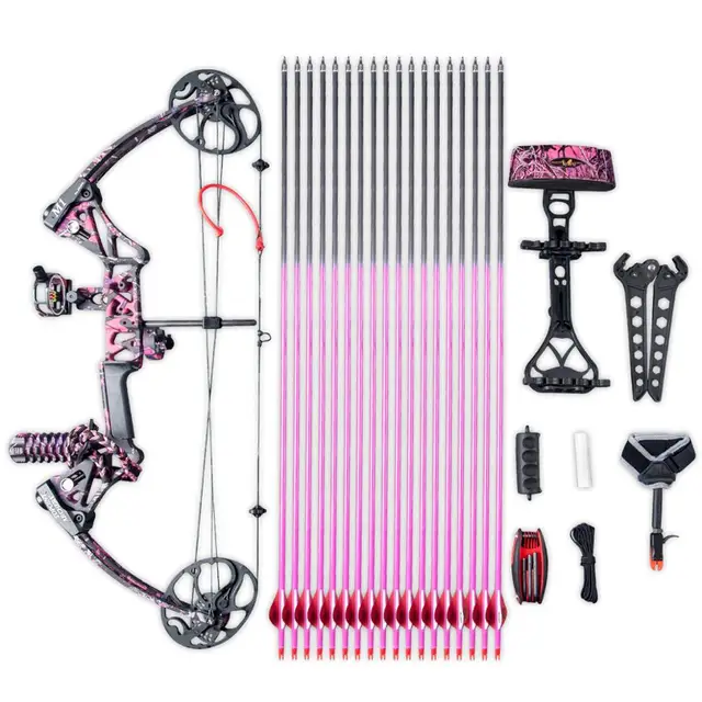 US $314.99 Archery Compound Bow Set Light Weight High Stiffness with Arrows Release Aid and Quiver