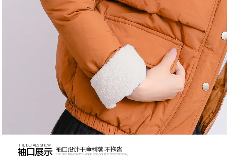 Best Friend-Photo Shoot Winter New Style-Lambs Wool Short down Jacket Cotton-padded Clothes Fashion Ladies' Cotton-padded C