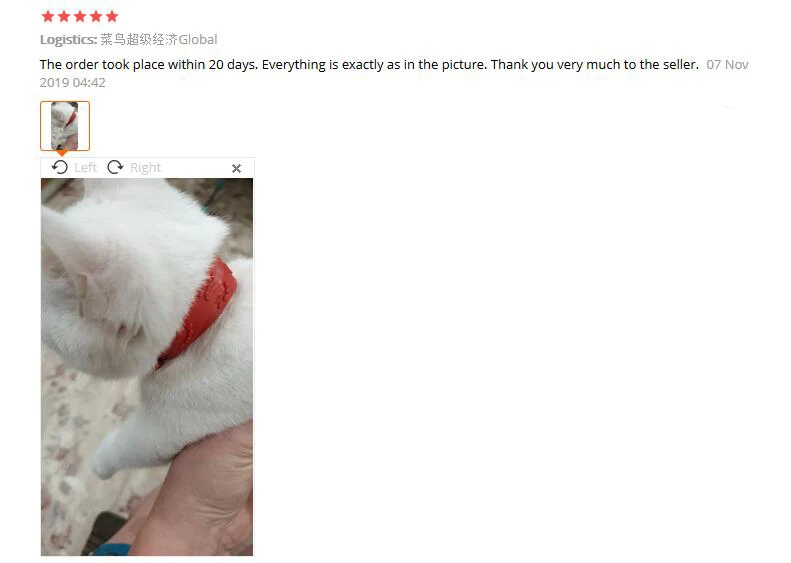 QQ截图20191224151356