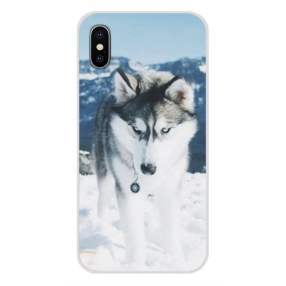 Роскошные чехлы для телефонов Huawei Honor 4C 5C 6X 7 7A 7C 8 9 10 8C 8S 8X 9X 10I 20 Lite Pro|Бамперы| |
