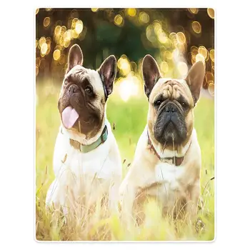 

HommomH blanket throw comfortable warm soft plush throw sofa cute pug