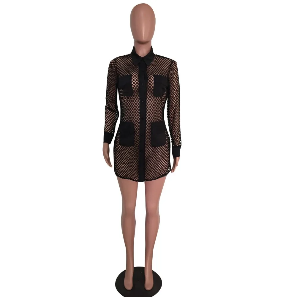 12392208097_1135413410