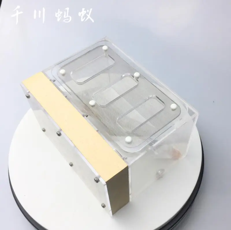 Gypsum & Acrylic Ants Nest Ants Farm 15*12*90mm With Feeding Area For Big Ants Big Colonies