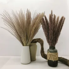 

45cm Reed Pampas Rabbit Tail Grass Natural Dried Flowers Bouquet Wedding Decoration Hay for Party Bohemian Home Decor