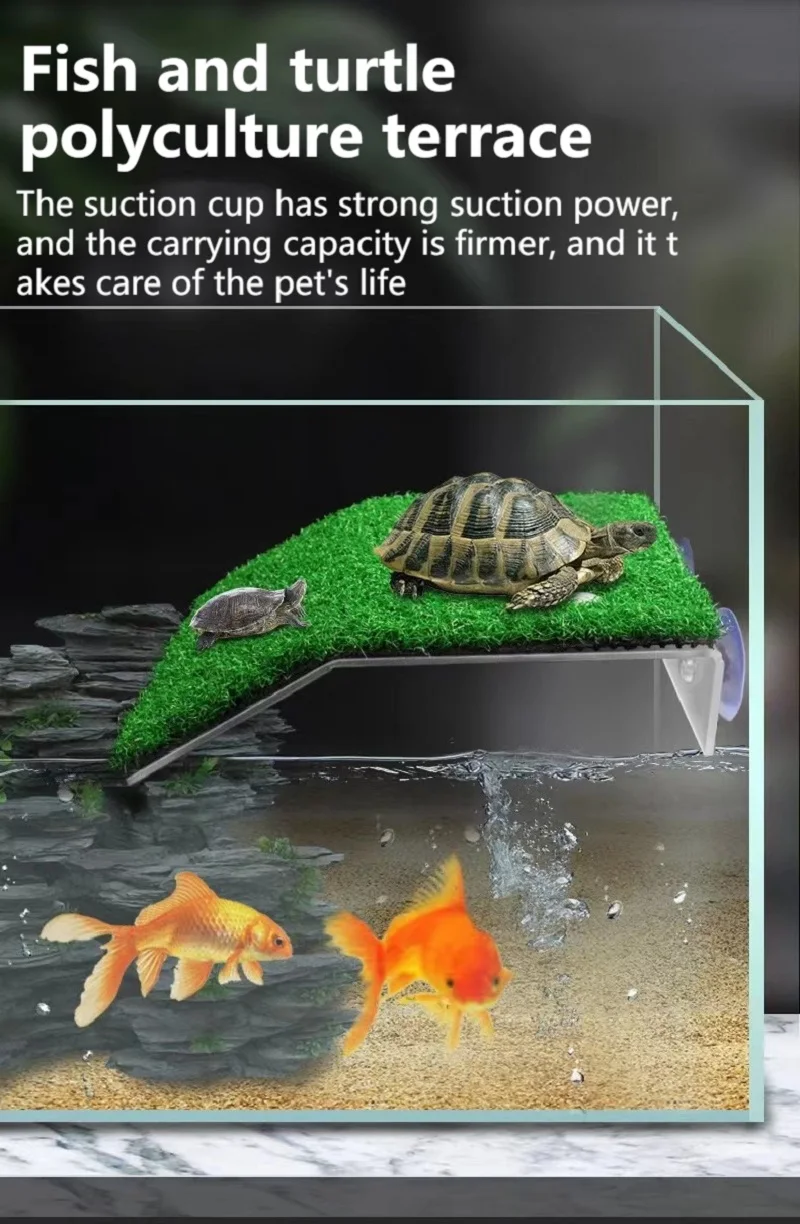 Bain Pour Reptile Avec Rampe – Bac à Eau Pour Tortues