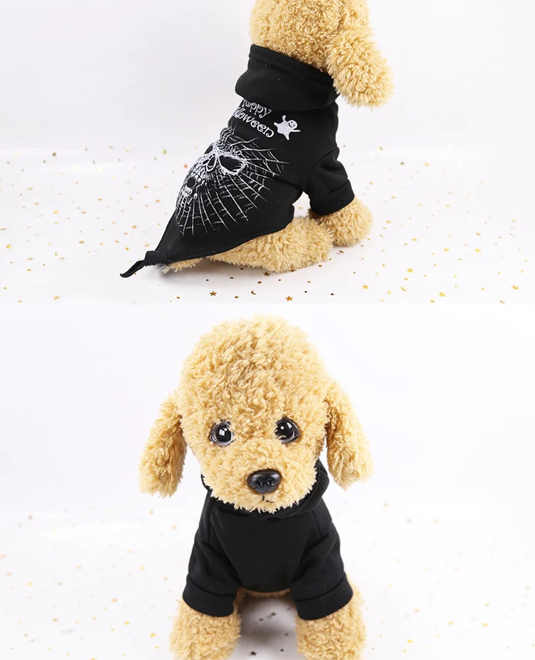 11561497628_1119372358