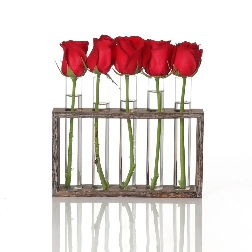 Water Planting Glass Vase, Test Tube Planter Modern Flower with Retro Solid Wooden Stand Tabletop