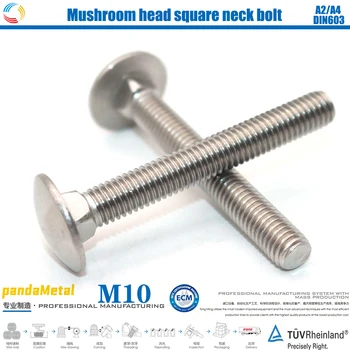 

(THE) 304/316 stainless steel fixing bolt DIN603 mushroom head square neck bolt, frame semicircular head screw A2A4 diameter M10