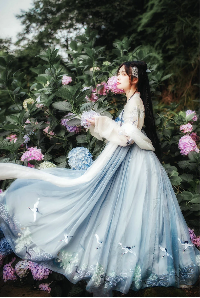 Hanfu Dress Women Traditional Chinese Clothes Embroidered Ancient Folk Dance Costume Tang Dynasty Princess for Stage Performance