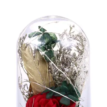 

Enchanted Enchanted Forever Rose Flower In Glass LED Light Battery Powered Desk Lamp Romantic Valentine's Day Wedding Birthday