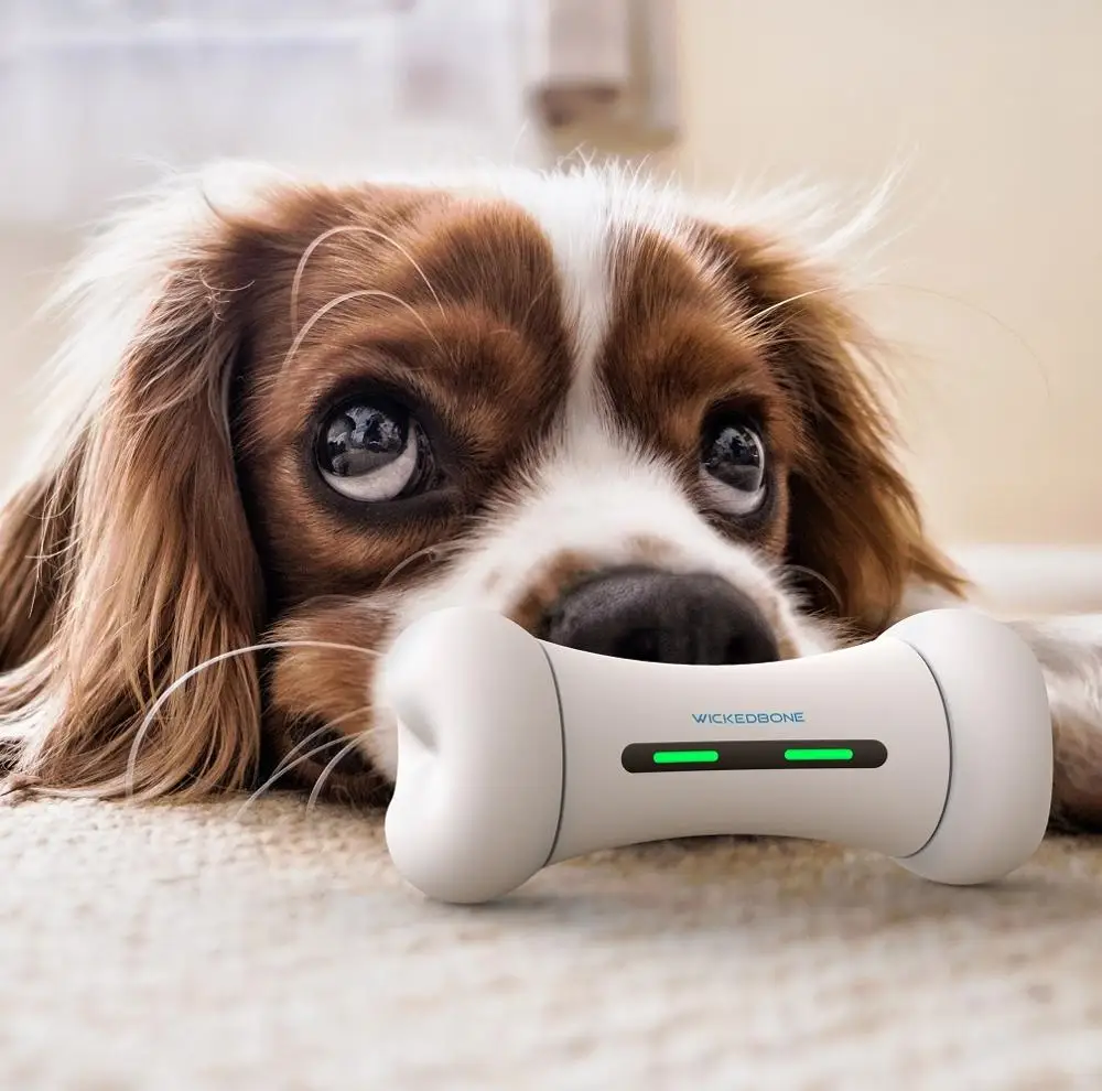 2020 New Pet Toy WICKEDBONE Smart Pet Emotional Interaction Bone APP